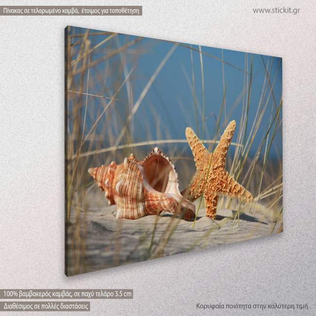 Canvas print, Shell and starfish, side