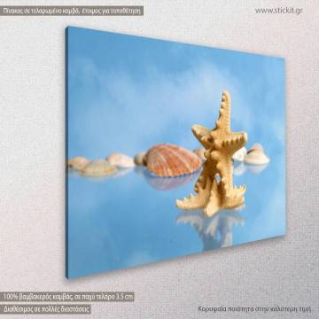 Πίνακας σε καμβά Αστερίας, Stars shells sky blue 2