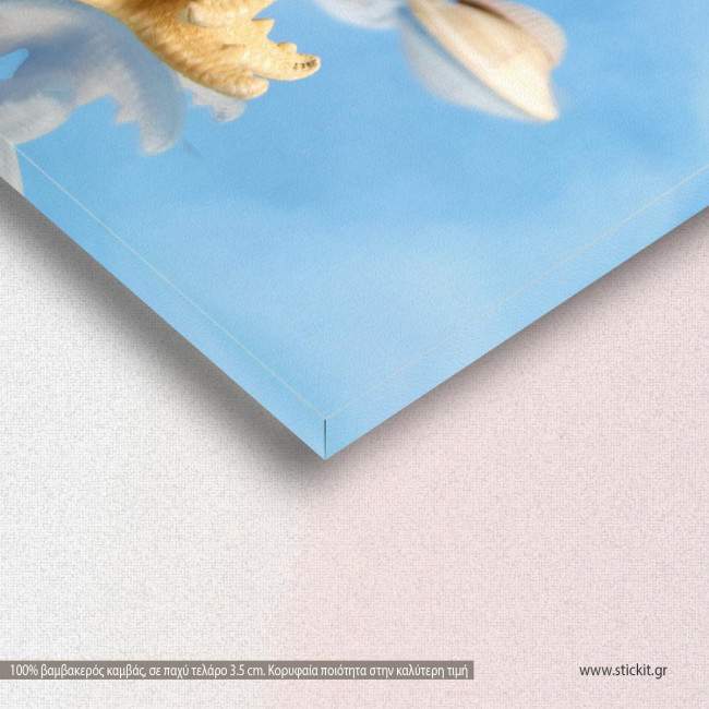 Canvas print, Stars shells sky blue, detail