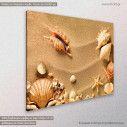 Canvas print Sea shells with sand, side