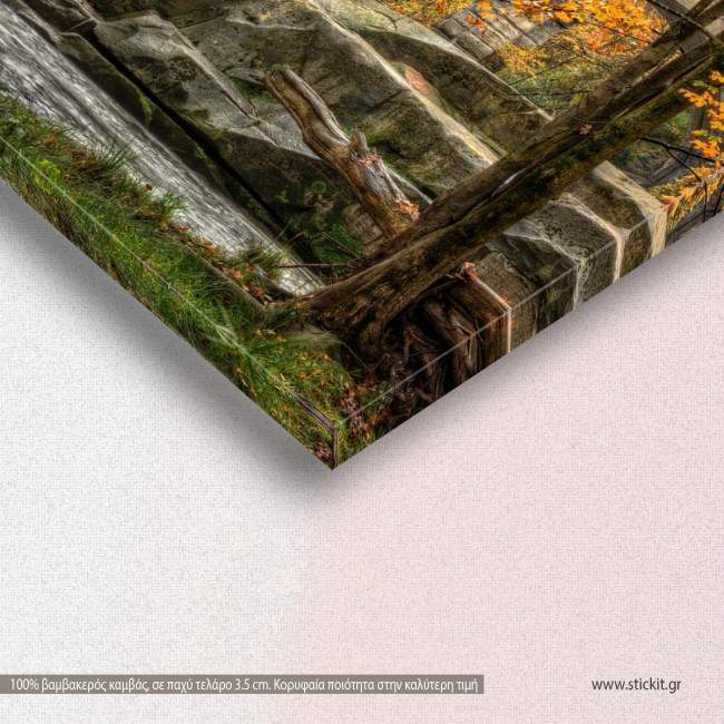 Canvas print, Berea falls In autumn, detail