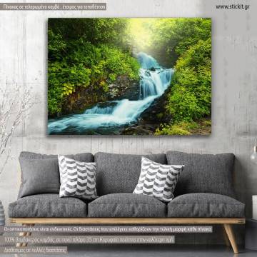 Canvas print, Creek in forest