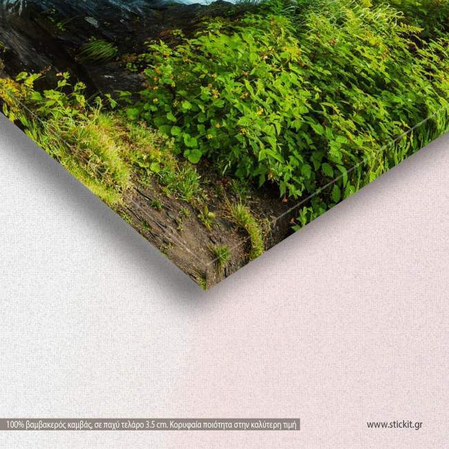 Canvas print, Creek in forest, detail