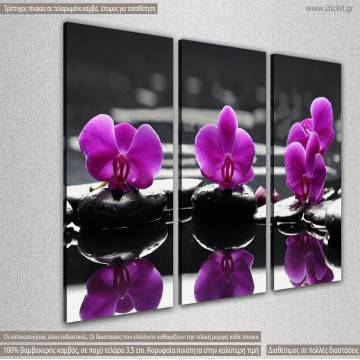 Πίνακας σε καμβά Orchids on water, τρίπτυχος 2