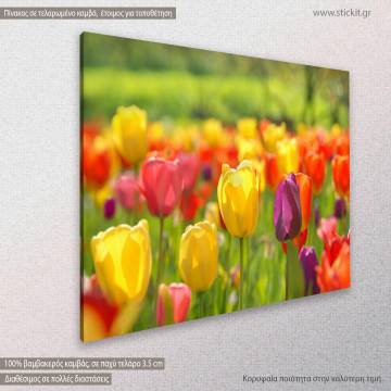 Canvas print Tulips Framed canvas View 1 2