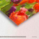 Canvas print, Tulips, detail