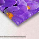 Purple crocus, πίνακας σε καμβά, λεπτομέρεια