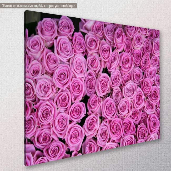 Canvas print, Roses background, side