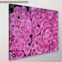 Canvas print, Roses background, side