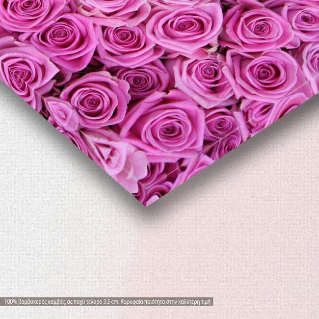 Roses background, πίνακας σε καμβά, λεπτομέρεια
