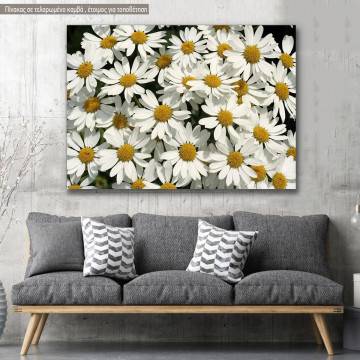Πίνακας σε καμβά Μαργαρίτες, Garden full of white daisies
