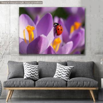 Canvas print, Spring