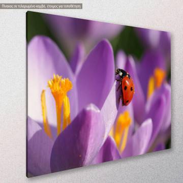 Canvas print, Spring 2