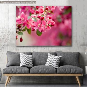 Canvas print, Crabapple Blossom