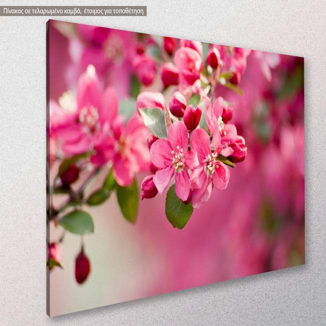 Crabapple Blossom, πίνακας σε καμβά, κοντινό
