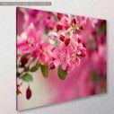 Canvas print, Crabapple Blossom, side