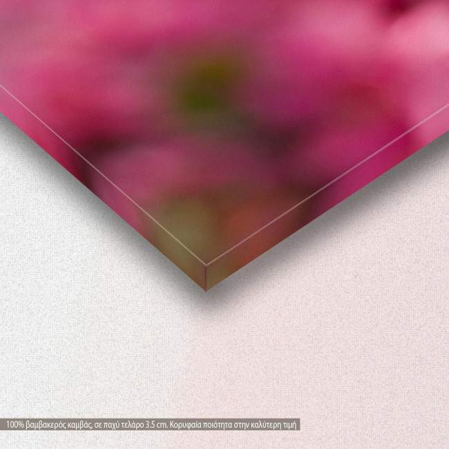 Crabapple Blossom, πίνακας σε καμβά, λεπτομέρεια