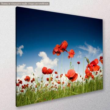 Canvas print Poppies, Field with poppies under dark sky 2