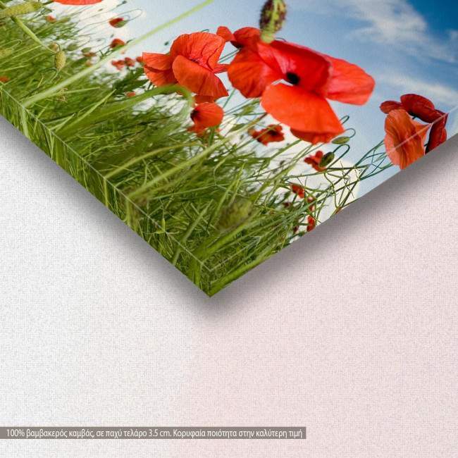 Field with poppies under dark sky, πίνακας σε καμβά, λεπτομέρεια