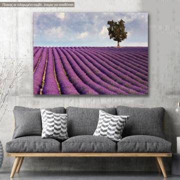 Πίνακας σε καμβά Λεβάντες, Lavender field and a lone tree