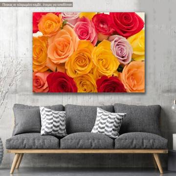 Canvas print, Variety of roses