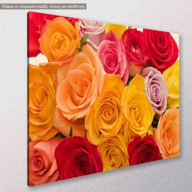 Variety of roses, πίνακας σε καμβά, κοντινό