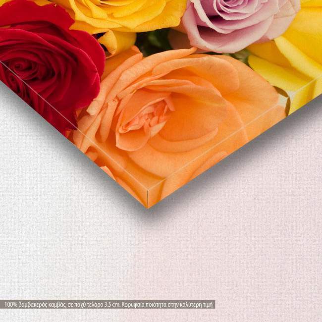 Canvas print, Variety of roses, detail