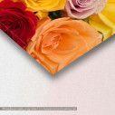 Canvas print, Variety of roses, detail