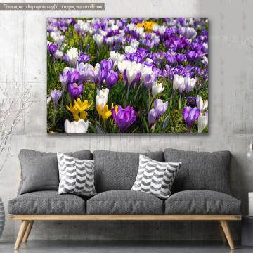 Πίνακας σε καμβά Κρόκος, Crocus field