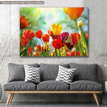 Canvas print, Tulip sunshine