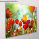 Canvas print, Tulip sunshine, side