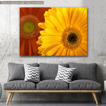 Canvas print, Yellow and red daisy