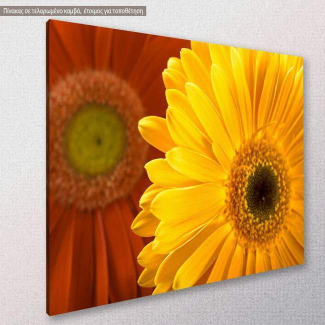 Canvas print, Yellow and red daisy, side