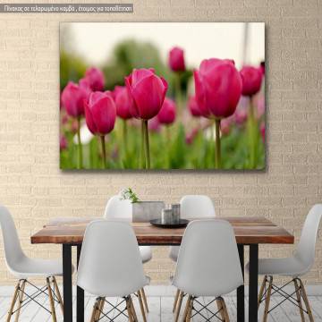 Canvas print, Tulip field
