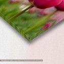Canvas print, Tulip field, detail