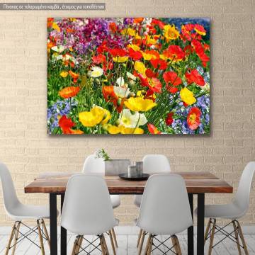 Canvas print , Colorful flower meadow