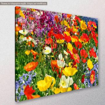 Πίνακας σε καμβά λιβάδι με λουλούδια Colorful flower meadow Καμβάς τελαρωμένος Όψη 1 2