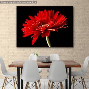 Canvas print, Red daisy