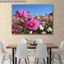 Canvas print, Pink cosmos