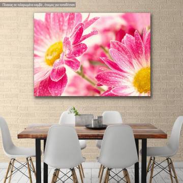 Πίνακας σε καμβά Μαργαρίτες, Two pink daisy - gerbera