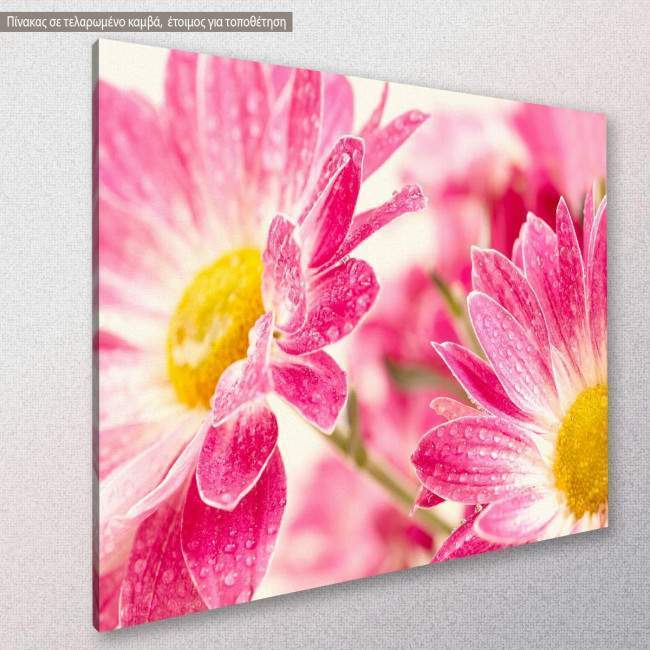 Canvas print, Two pink daisy - gerbera, side