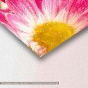 Two pink daisy-gerbera, πίνακας σε καμβά, λεπτομέρεια