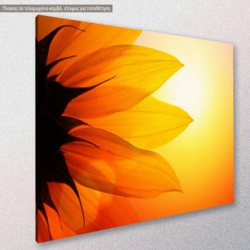 Canvas print, Sunflower at sunset 2