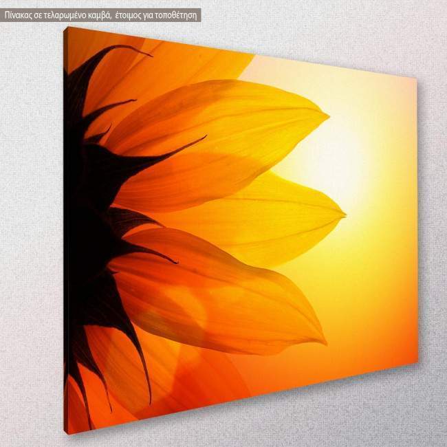 Sunflower at sunset, πίνακας σε καμβά, κοντινό