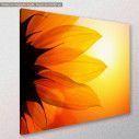 Canvas print, Sunflower at sunset, side