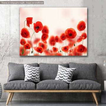 Canvas print Poppies, Poppy field
