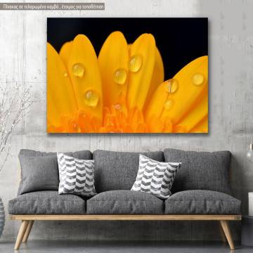 Canvas print, Yellow gerbera
