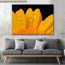 Canvas print, Yellow gerbera