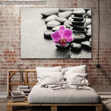 Canvas print, Orchid stones