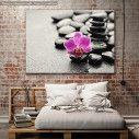 Canvas print, Orchid stones